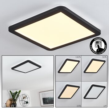 Siguna Plafoniera LED Nero, Bianco, 1-Luce