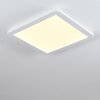 Siguna Plafoniera LED Bianco, 1-Luce