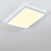 Siguna Plafoniera LED Bianco, 1-Luce