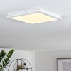 Siguna Plafoniera LED Bianco, 1-Luce