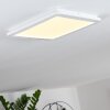 Siguna Plafoniera LED Bianco, 1-Luce