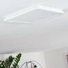 Siguna Plafoniera LED Bianco, 1-Luce