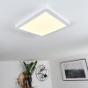 Siguna Plafoniera LED Bianco, 1-Luce