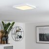 Siguna Plafoniera LED Bianco, 1-Luce