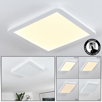 Siguna Plafoniera LED Bianco, 1-Luce