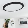 Siguna Plafoniera LED Nero, Bianco, 1-Luce