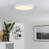 Siguna Plafoniera LED Bianco, 1-Luce