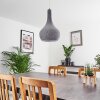 Alenhoven Lampadario a sospensione Grigio, 1-Luce