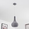 Alenhoven Lampadario a sospensione Grigio, 1-Luce