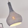 Alenhoven Lampadario a sospensione Grigio, 1-Luce