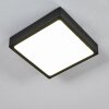 Kragos Plafoniera LED Nero, 1-Luce