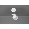 Trio Taurus Plafoniera LED Bianco, 2-Luci