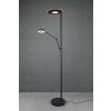 Trio Barrie Lampada da terra LED Nero, 2-Luci