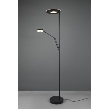 Trio Barrie Lampada da terra LED Nero, 2-Luci