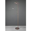 Trio Barrie Lampada da terra LED Ottone antico, 2-Luci