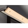 Fischer & Honsel  Pare TW Applique LED Nero, 1-Luce