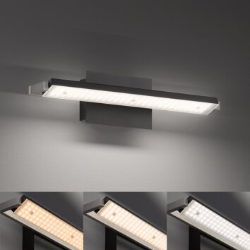 Fischer & Honsel  Pare TW Applique LED Nero, 1-Luce