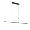 Fischer & Honsel  Metz TW Lampada a Sospensione LED Nero, 1-Luce