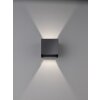 Fischer & Honsel  Wall Applique LED Nero, 2-Luci