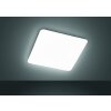 Fischer & Honsel  Aldo Plafoniera LED Bianco, 1-Luce