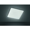 Fischer & Honsel  Aldo Plafoniera LED Bianco, 1-Luce