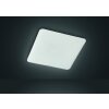 Fischer & Honsel  Aldo Plafoniera LED Bianco, 1-Luce