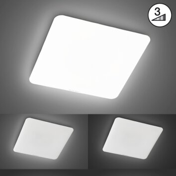 Fischer & Honsel  Aldo Plafoniera LED Bianco, 1-Luce