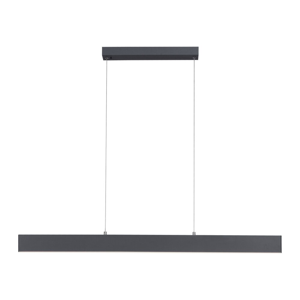Leuchten-Direkt NILA Lampada a Sospensione LED Antracite, 2-Luci, Telecomando main product photo