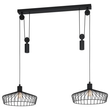 Eglo WINKWORTH Lampadario a sospensione Nero, 2-Luci