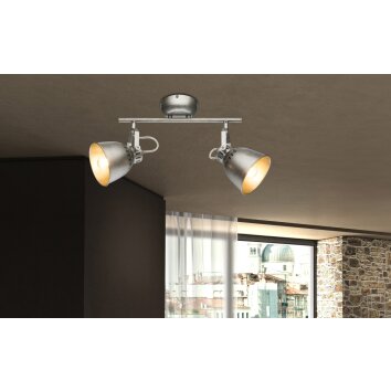 Globo Hernan Faretto da soffitto Grigio, Argento, 2-Luci