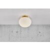 Nordlux ALTON Plafoniera Ottone, 1-Luce