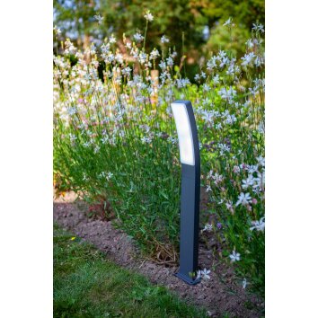 Lutec Kira Lampioncino Segnapasso LED Antracite, 1-Luce