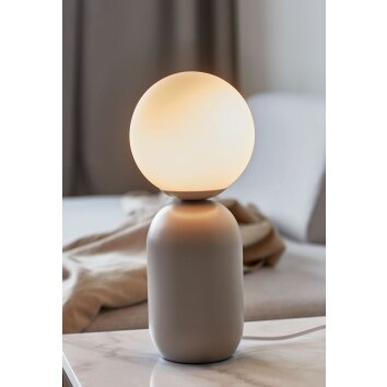 Nordlux NOTTI Lampada da tavolo Grigio, 1-Luce