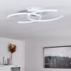 Guinea Plafoniera LED Bianco, 2-Luci