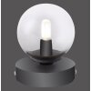 Paul Neuhaus WIDOW Lampada da tavolo LED Nichel opaco, Nero, 1-Luce