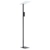 Eglo BUDENSEA Lampada da terra LED Nero, Bianco, 2-Luci