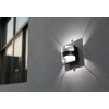 Lutec DELTA Applique da esterno LED Antracite, 1-Luce