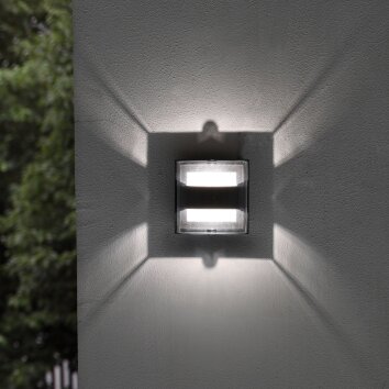 Lutec DELTA Applique da esterno LED Antracite, 1-Luce