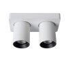 Lucide NIGEL Faretto da soffitto LED Bianco, 2-Luci