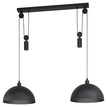 Eglo WINKWORTH Lampadario a sospensione Nero, 2-Luci