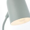 Brilliant Tong Lampada da tavolo Verde, 1-Luce