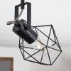 Maracambo Plafoniera Legno scuro, Nero, 1-Luce