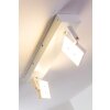 Guyana Faretto da soffitto LED Cromo, Bianco, 2-Luci