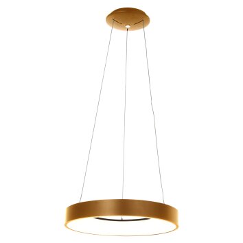 Steinhauer Ringlede Lampada a Sospensione Oro, Bianco, 1-Luce