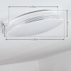 Niebla Plafoniera LED Bianco, 1-Luce