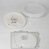 Niebla Plafoniera LED Bianco, 1-Luce