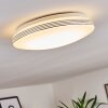 Niebla Plafoniera LED Bianco, 1-Luce