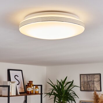 Niebla Plafoniera LED Bianco, 1-Luce