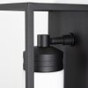 KS Verlichting Hudson Applique da esterno Nero, 1-Luce