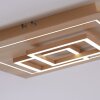 Paul Neuhaus Q-LINEA Plafoniera LED Legno chiaro, 4-Luci, Telecomando